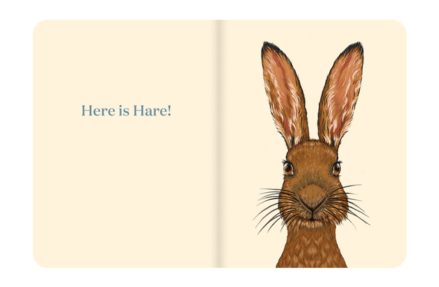 Here Is Hare