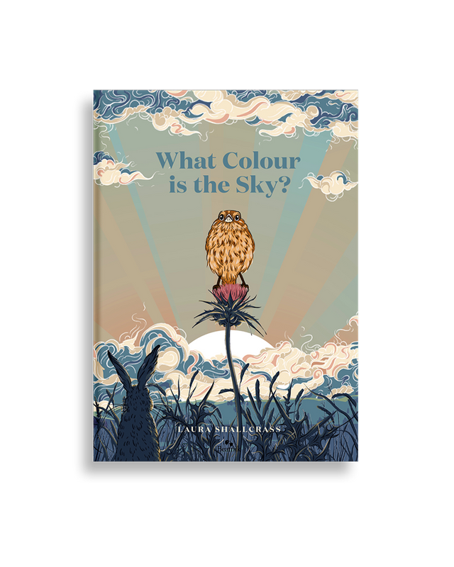 What Colour  Is The Sky?
