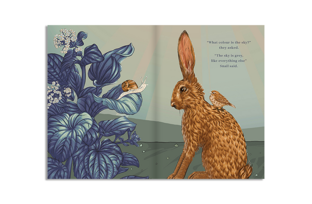 What Colour Is The Sky?